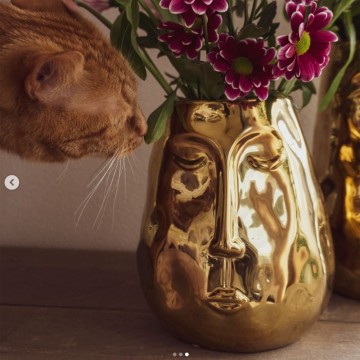Gusta gusta gouden vaas met gezicht sfeerbeeld