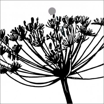 Kado label berenklauw