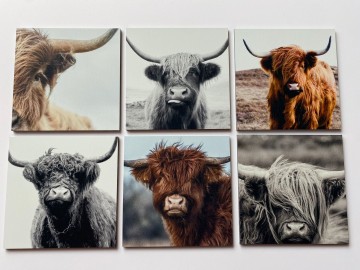 Onderzetters hooglanders 7 decoratie