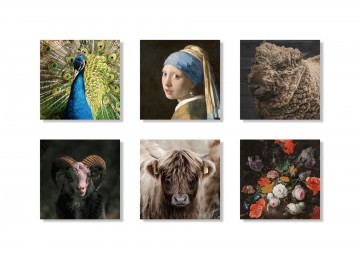 Onderzetters schaduw scaled