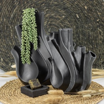 Vaasrawzwartsfeerbeeld